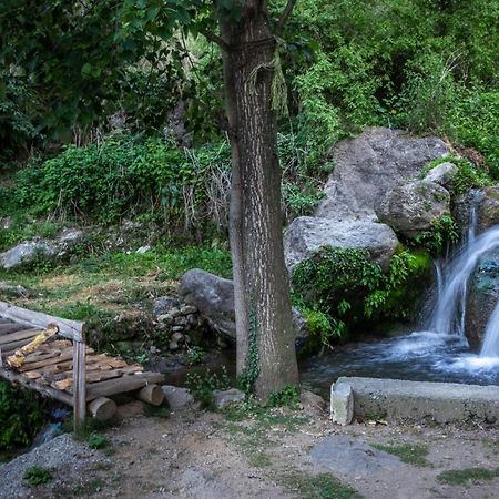 Babutaal Resort Чакрата Екстер'єр фото
