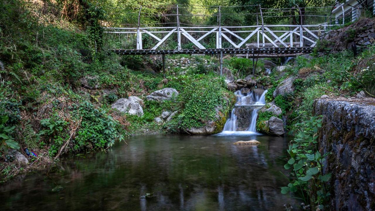 Babutaal Resort Чакрата Екстер'єр фото