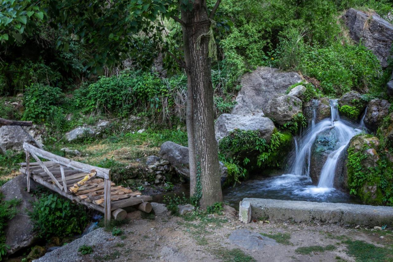 Babutaal Resort Чакрата Екстер'єр фото