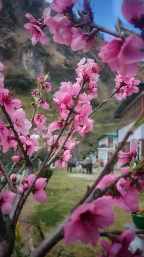 Babutaal Resort Чакрата Екстер'єр фото